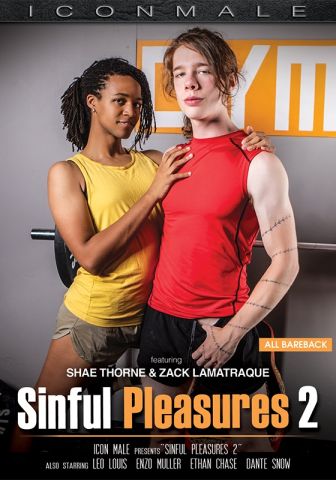 Sinful Pleasures 2 DVD