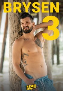 Brysen 3 DVD